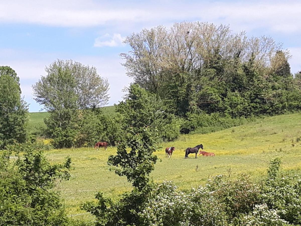 Ai Boschi Apartamento Ozzano dell'Emilia Exterior foto