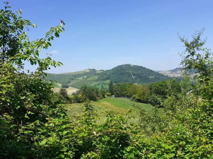 Ai Boschi Apartamento Ozzano dell'Emilia Exterior foto
